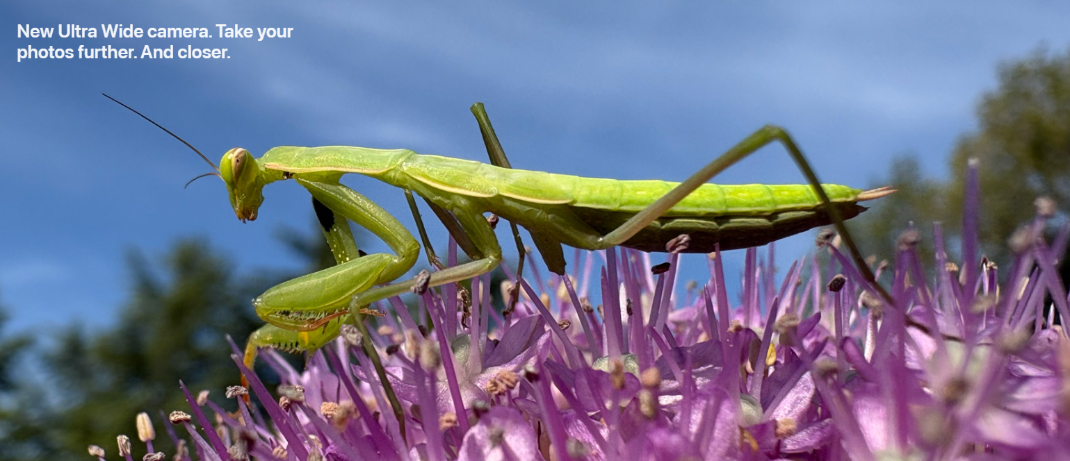 Screenshot 2024-09-11 133358.png